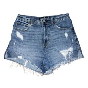 Hollister🦎Embroidered Sunflower Shorts🌵